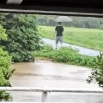 Person walking on a flooded path under a bridge, holding a white umbrella in rainy weather.